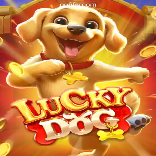 Discover the Thrill of 'LuckyDog' on 69Y.COM: The Premier Slots Platform in Brazil